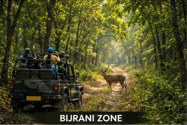 Bijrani Zone safari landscape