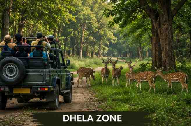 Dhela Zone safari landscape