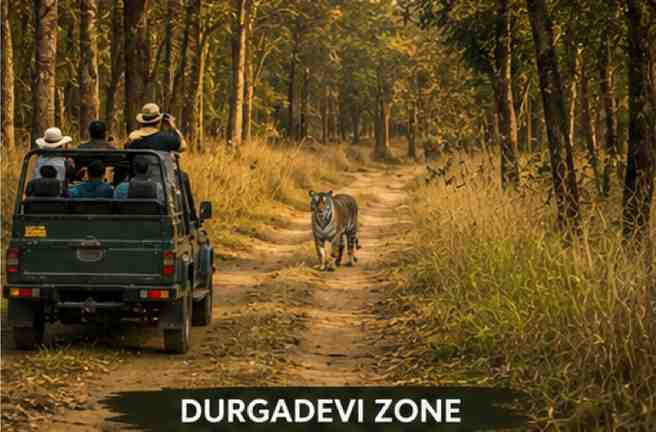 Durga Devi Zone safari landscape