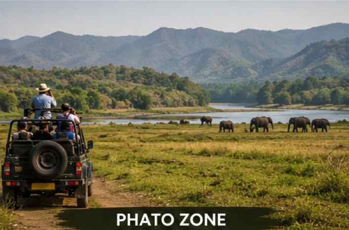 Phato Zone safari landscape